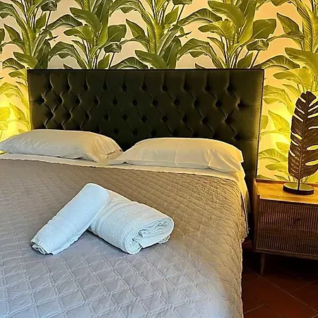 Bellini 4*